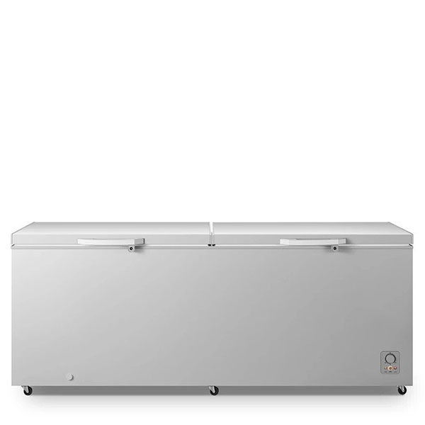 Hisense 702 Liters Deep Freezer (FRZ 91DD)